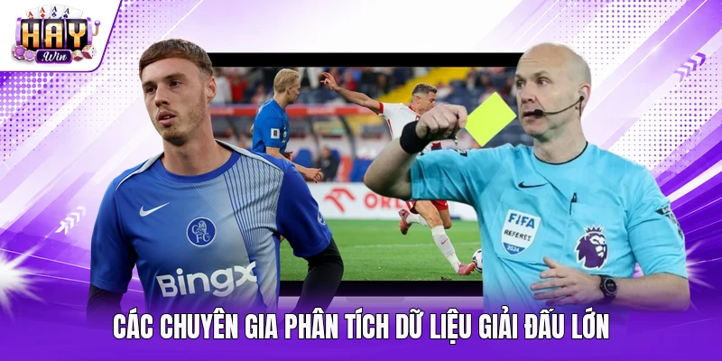 Các chuyên gia phân tích dữ liệu giải đấu lớn