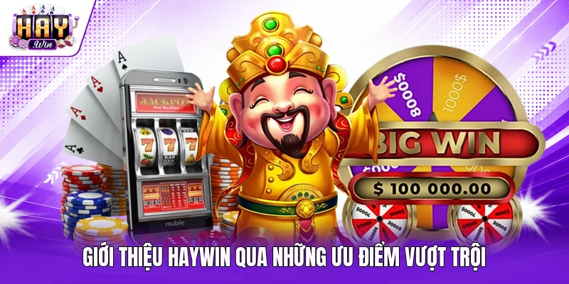 Giới thiệu Haywin qua những ưu điểm vượt trội