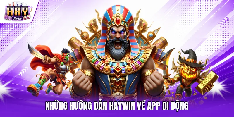 Những hướng dẫn Haywin về app di động