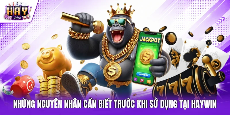 Những nguyên nhân cần biết trước khi sử dụng tại Haywin