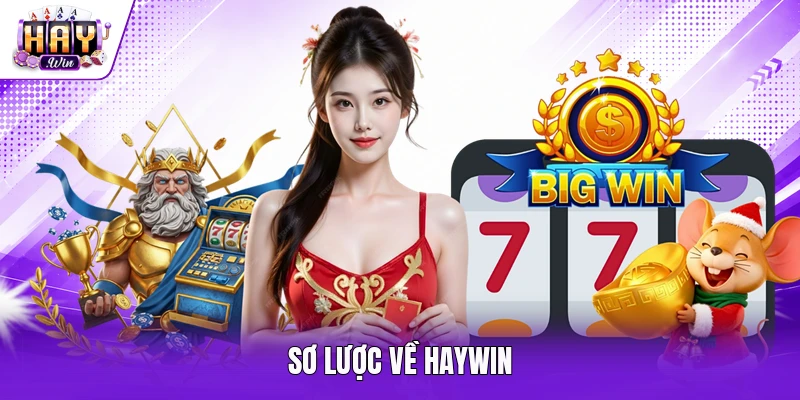 Sơ lược về Haywin